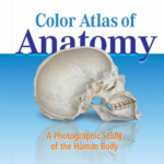 netter atlas of human anatomy 6th edition pdf download free